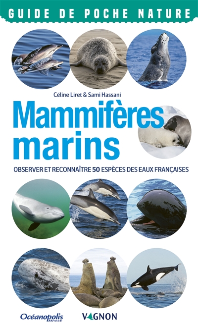Mammifères marins : observer et reconnaître 50 espèces des eaux françaises