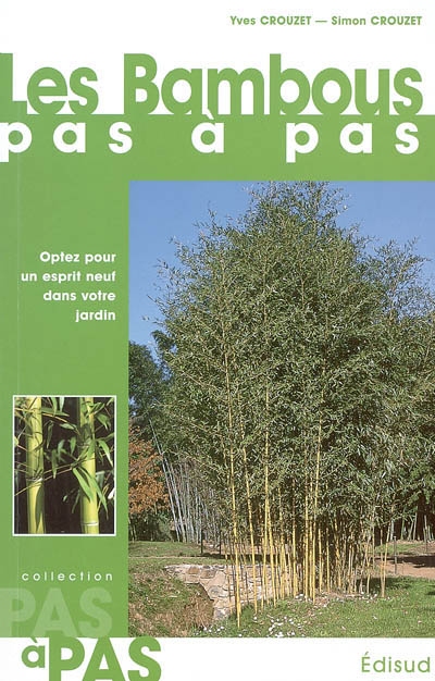 Les bambous pas à pas : optez pour un esprit neuf dans votre jardin