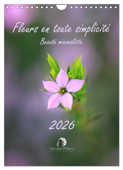 Fleurs en toute simplicité : Beauté minimaliste (Calendrier mural 2026 DIN A4 horizontal), CALVENDO calendrier mensuel : Un calendrier délicat et raffiné qui célèbre la grâce des fleurs dans leur plus pure simplicité, pour douze mois de beauté minimaliste.