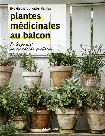 Plantes médicinales au balcon : faites pousser vos remèdes du quotidien