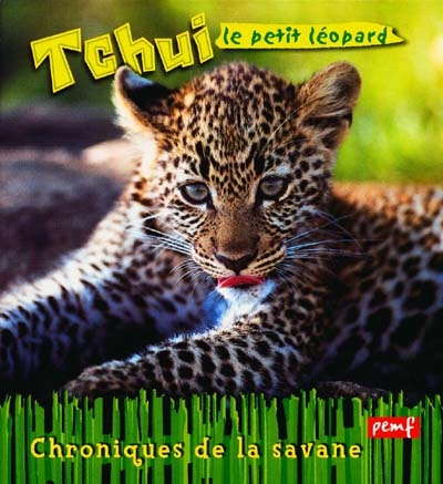 Tchui, le jeune léopard
