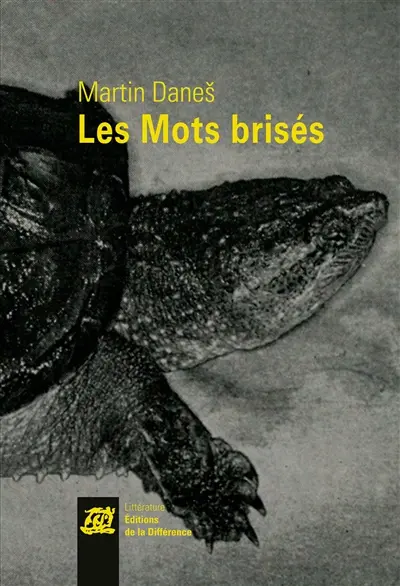 Les mots brisés