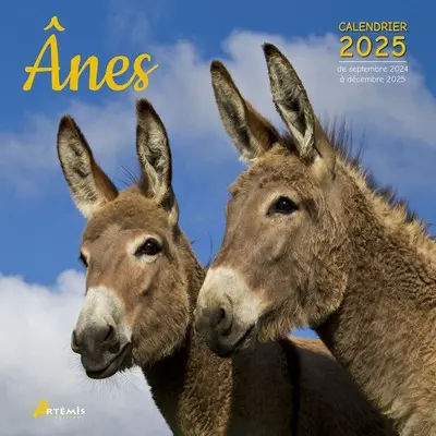 Anes : calendrier 2025 : de septembre 2024 à décembre 2025 Anes : calendrier 2025 : de septembre 2024 à décembre 2025