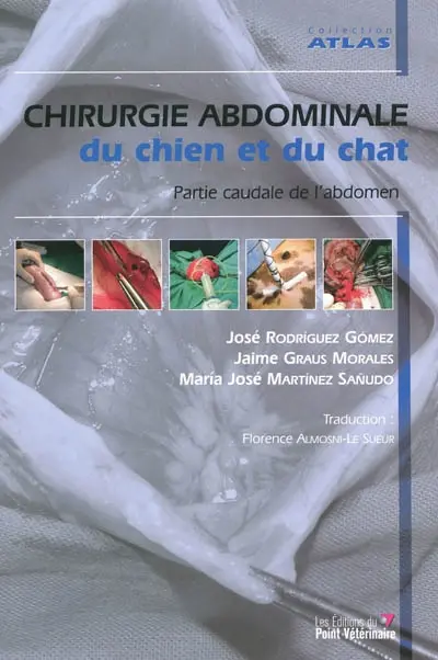 Chirurgie abdominale du chien et du chat : partie caudale de l'abdomen