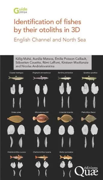 Identification of fishes by their otoliths in 3D : English channel and North sea