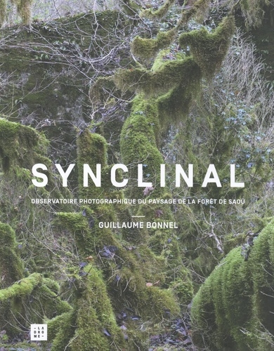Synclinal : observatoire photographique du paysage de la forêt de Saoû