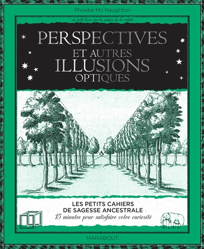 Perspective et autres illusions optiques