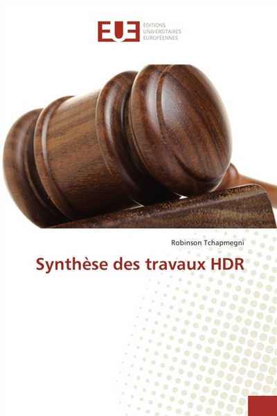 Synthèse des travaux hdr