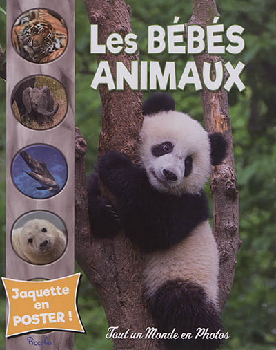 Les bébés animaux