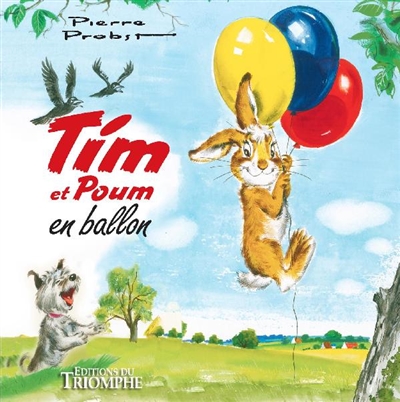 Les aventures de Tim et Poum. Tim et Poum en ballon