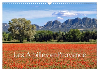 Les Alpilles en Provence (Calendrier mural 2025 DIN A3 vertical), CALVENDO calendrier mensuel : Regard sur les paysages du Parc Naturel Régional des Alpilles.