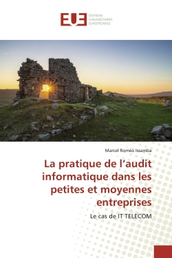 La pratique de l'audit...