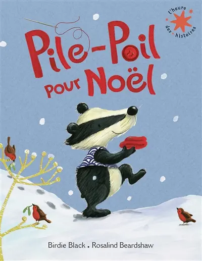 Pile-poil pour Noël
