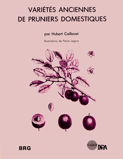 Variétés anciennes de pruniers domestiques : caractères distinctifs, description de 80 variétés