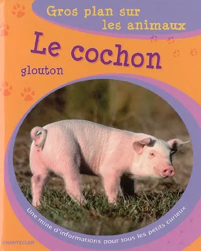 Le cochon glouton