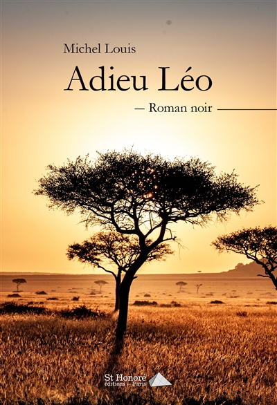 Adieu Léo : roman noir