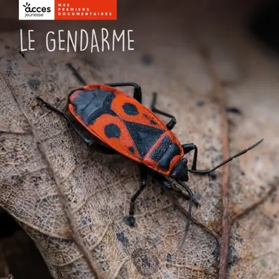 Le gendarme
