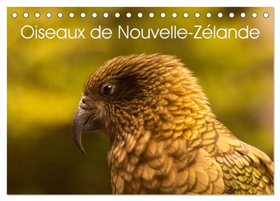 Oiseaux de Nouvelle-Zélande (Calendrier de bureau 2026 DIN A5 vertical), CALVENDO calendrier mensuel : Photographies d'oiseaux de Nouvelle : Zélande