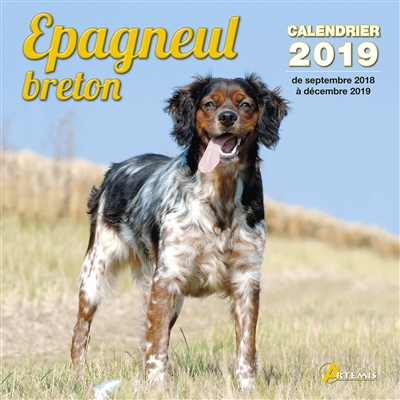 Epagneul breton :...
