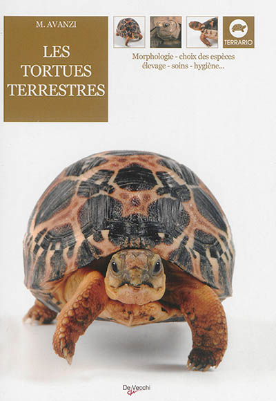 Les tortues terrestres : morphologie, choix des espèces, élevage, soins, hygiène...
