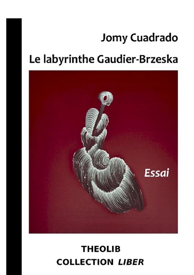 Le labyrinthe Henri Gaudier-Brzeska : essai