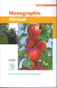 Abricot