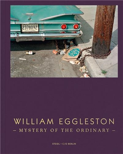 William Eggleston Mystery Of The Ordinary