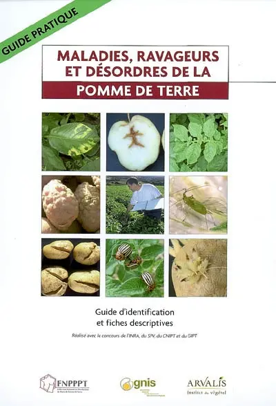 Maladies, ravageurs et désordres de la pomme de terre : guide d'identification et fiches descriptives