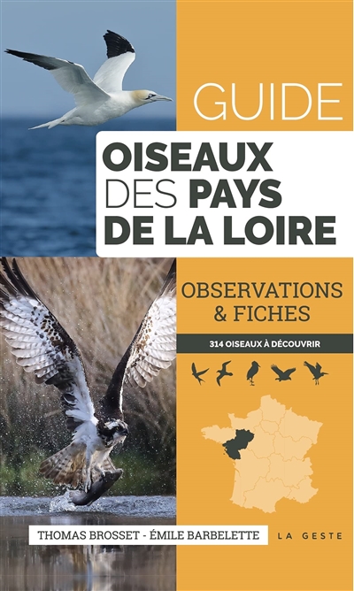 Guide oiseaux des Pays de la Loire : observations & fiches : 314 oiseaux à découvrir