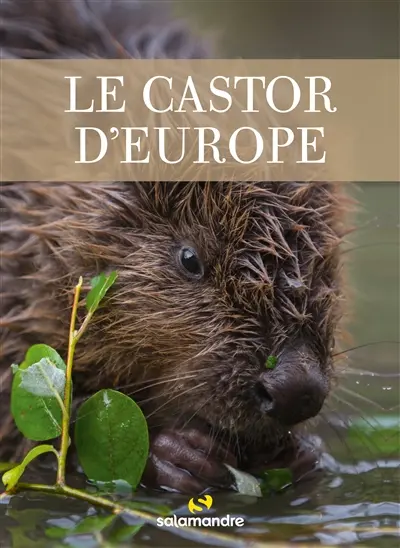 Le castor d'Europe