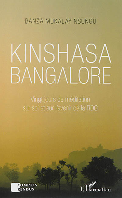 Kinshasa, Bangalore : vingt jours de méditation sur soi et sur l'avenir de la RDC