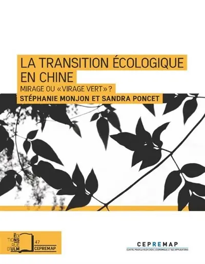 La transition écologique en Chine : mirage ou virage vert ?
