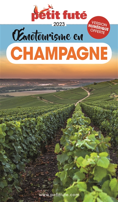 Oenotourisme en Champagne :...