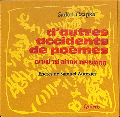 couverture du livre D'autres accidents de poèmes