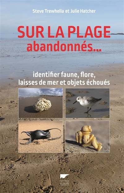 Sur la plage abandonnés... : identifier faune, flore, laisses de mer et objets échoués