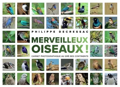 Merveilleux oiseaux ! : carnet photographique au gré des continents
