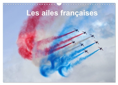 Les ailes françaises (Calendrier mural 2025 DIN A3 vertical), CALVENDO calendrier mensuel : Les ailes françaises escortent un Boeing