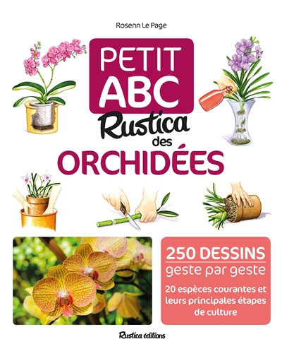 Petit ABC Rustica des orchidées : 250 dessins geste par geste, 20 espèces courantes et leurs principales étapes de culture