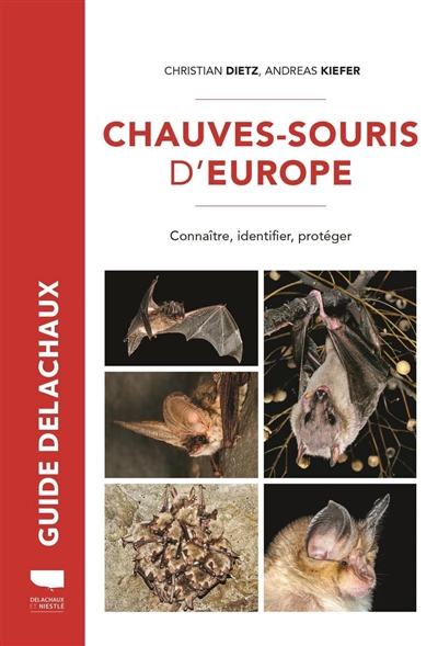 Chauves-souris d'Europe : connaître, identifier, protéger
