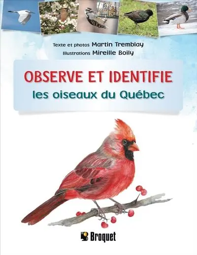 Observe et identifie les oiseaux du Québec