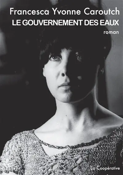 Le gouvernement des eaux