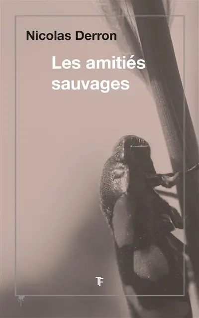 Les amitiés sauvages