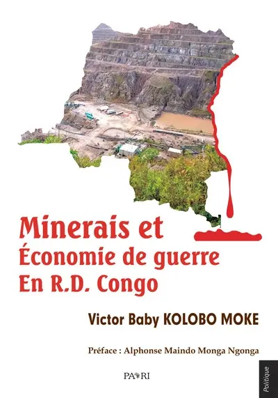 Minerais et économie de guerre en RD Congo