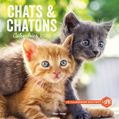 Chats & chatons : calendrier 2022