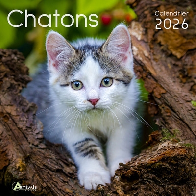 Chatons : calendrier 2026 :...