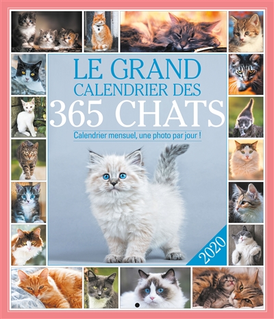 Le grand calendrier des 365 chats 2020 : calendrier mensuel, une photo par jour !
