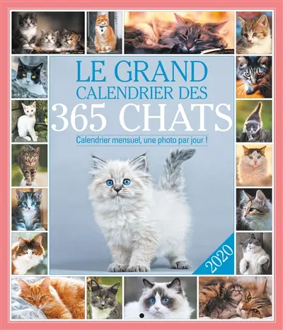Le grand calendrier des 365 chats 2020 : calendrier mensuel, une photo par jour !