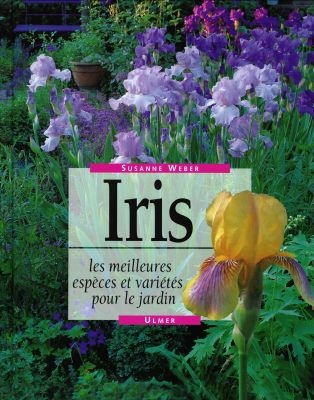 Iris : les meilleures espèces et variétés pour le jardin