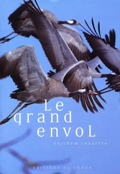 Le grand envol