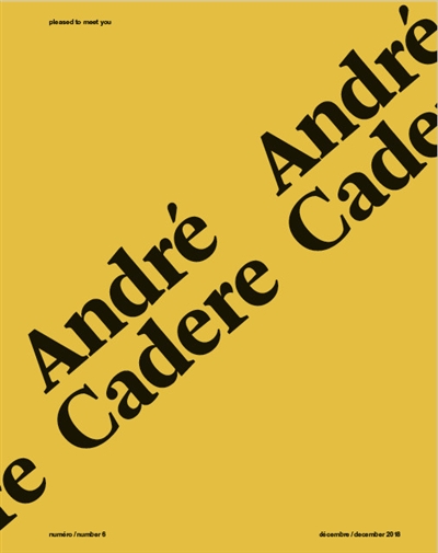 Pleased to meet you, n° 6. André Cadere